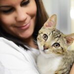 Best Tips for Caring for Your Cat